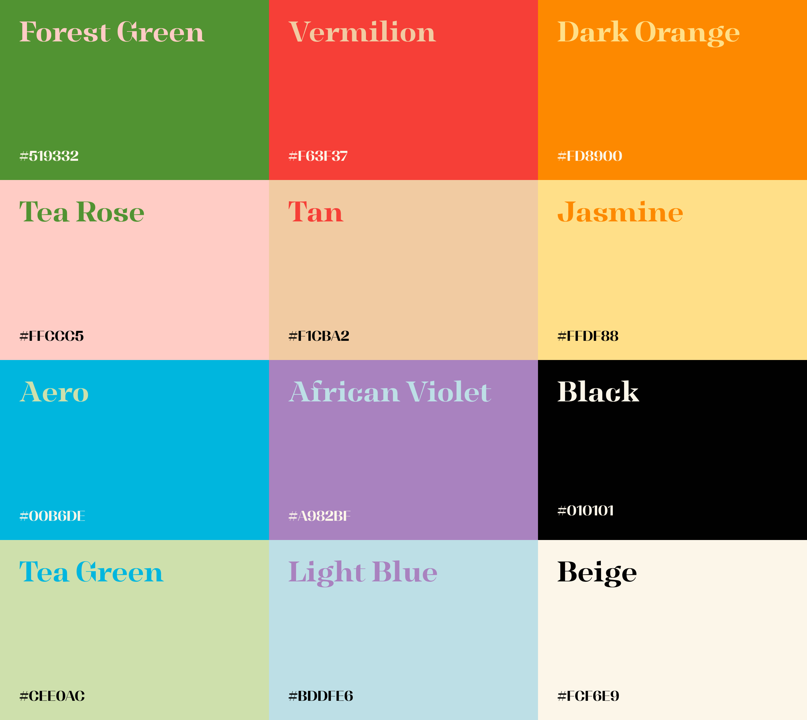 Portfolio Visual